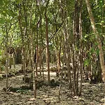 Hotel Kin Tulum II